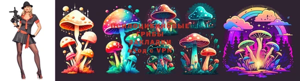 хмурый Кукмор