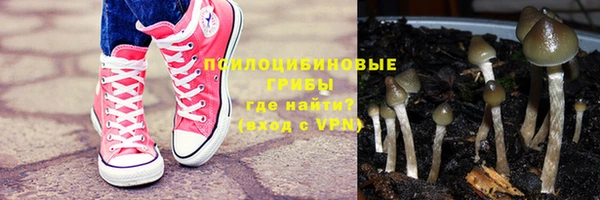 крисы Лабытнанги