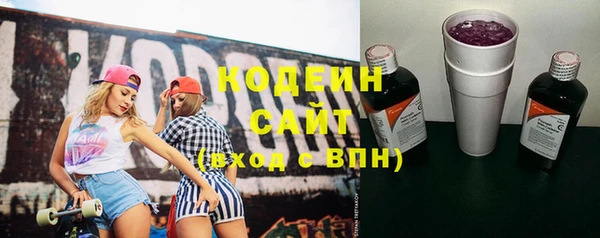 твердый Надым